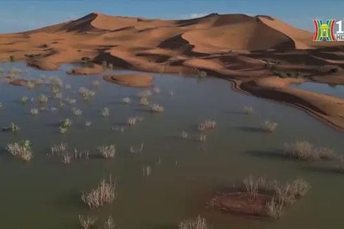Lũ lụt hiếm hoi tại sa mạc Sahara