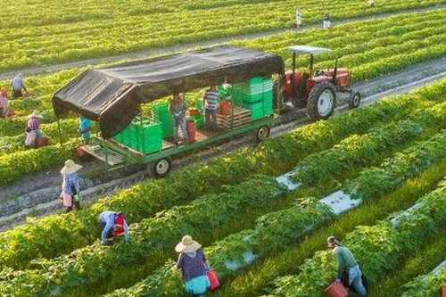 Phát triển nông nghiệp xanh, thúc đẩy cơ cấu lại kinh tế nông nghiệp