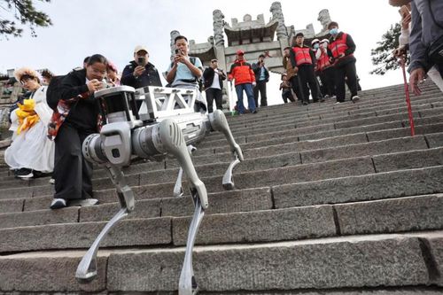 Xem robot chó leo bậc thang, dọn rác trên núi