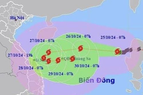 Khẩn trương đảm bảo an toàn đê điều ứng phó bão số 6 (TRAMI)