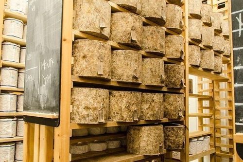 Vụ đánh cắp 20 tấn phô mai gây sốc ở Anh