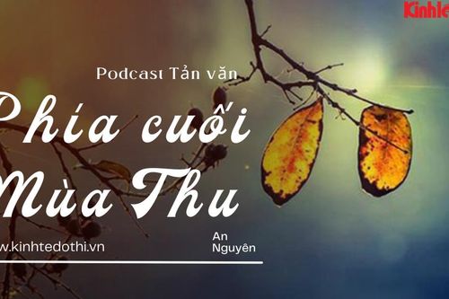 Podcast Tản văn: Phía cuối mùa thu