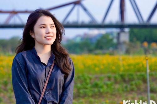 Giới trẻ thích thú 'check-in' tại cánh đồng cúc vàng dưới chân cầu Long Biên