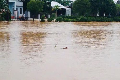 Quảng Nam: bão Trà Mi khiến 4 người bị thương