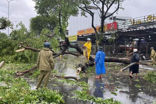 Đà Nẵng chủ động ứng phó với bão số 6