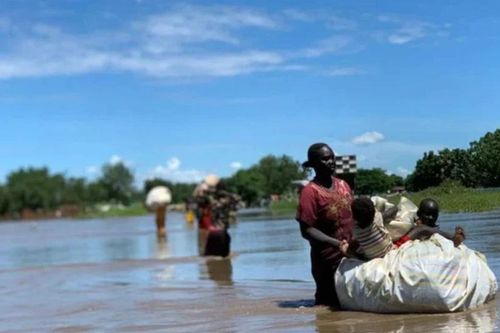 Hơn 1,3 triệu người Nam Sudan bị ảnh hưởng do ngập lụt