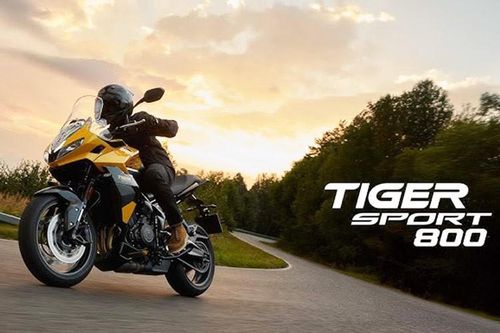 Triumph Tiger Sport 800 - 'mãnh hổ' thể thao từ 362,5 triệu đồng