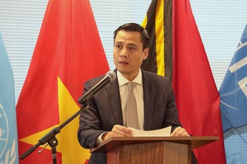 Thúc đẩy công bằng khí hậu thông qua thủ tục xin ý kiến tư vấn các cơ quan tư pháp quốc tế