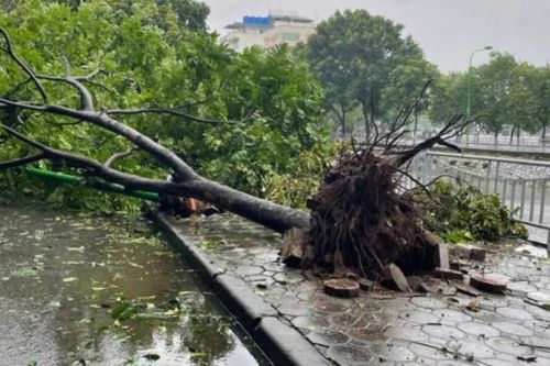 Thừa Thiên Huế: Cấm người dân ra đường từ 7h hôm nay do ảnh hưởng của bão số 6
