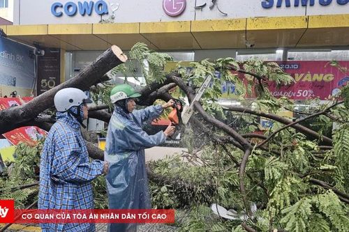 Bão số 6 áp sát bờ, Đà Nẵng gió mạnh, nhiều cây xanh gãy đổ