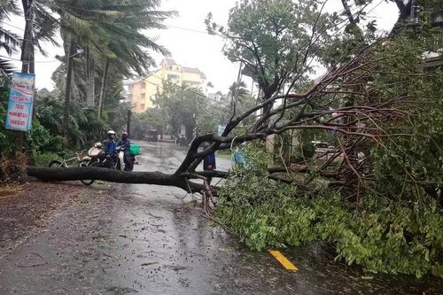 Ứng phó bão số 6 đổ bộ, Thừa Thiên Huế yêu cầu người dân không ra đường từ 7h