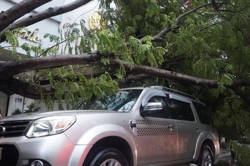 Bão Trà Mi đổ bộ đất liền gây mưa lớn, ngập cục bộ nhiều nơi