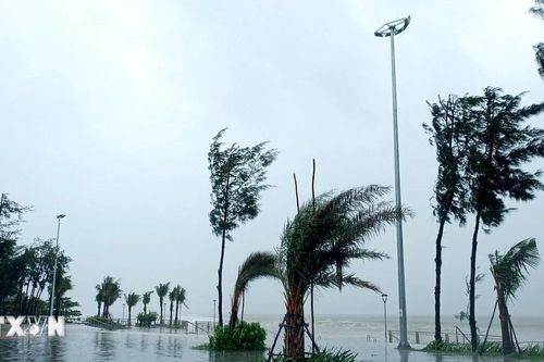 Đà Nẵng-Thừa Thiên-Huế: Bão số 6 gây mưa to, gió lớn, nước biển dâng cao