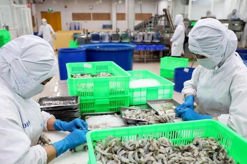 Niềm tin của doanh nghiệp về triển vọng kinh tế 12 tháng tới