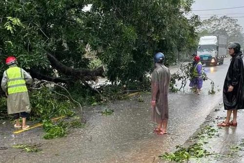 Quảng Bình mưa trắng trời khiến nước dâng cao, nhiều cây xanh bật gốc