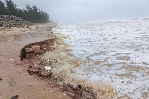 Quảng Trị: Khoảng 3km bờ biển bị sạt lở do bão số 6