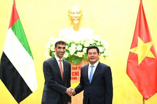 Việt Nam - UAE dự kiến nâng cấp quan hệ, ký Hiệp định Đối tác kinh tế toàn diện CEPA