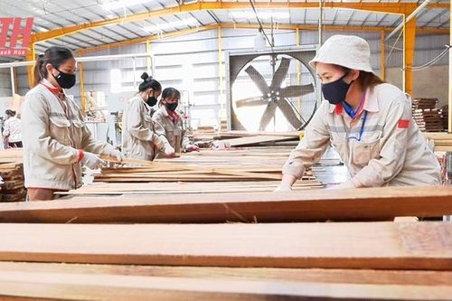 Lang Chánh: Nâng cao tiêu chí thu nhập trong xây dựng nông thôn mới
