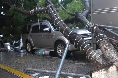 Bão Trà Mi đổ bộ vào Quảng Nam, Đà Nẵng