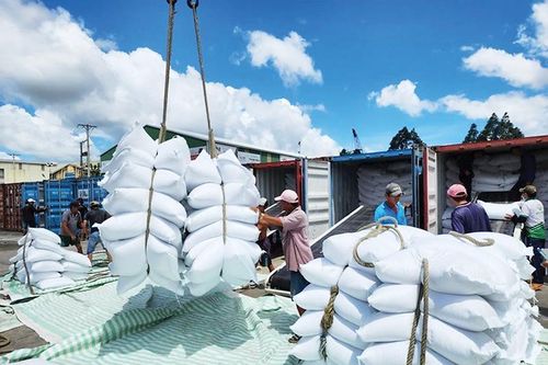 Ấn Độ dỡ bỏ lệnh cấm xuất khẩu gạo và những tác động
