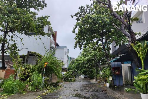 Ảnh hưởng của bão số 6 trên địa bàn thành phố