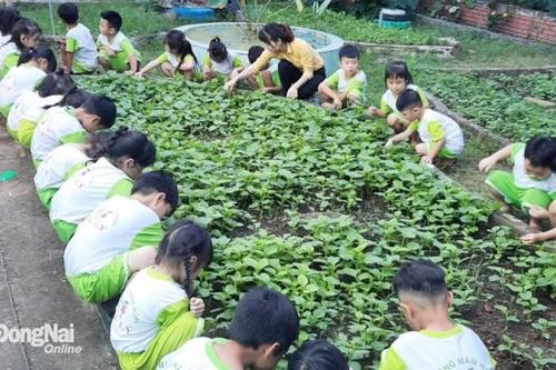 Cần thay đổi quan điểm về đảng viên sinh con thứ 3