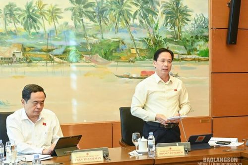 Đại biểu Quốc hội tỉnh thảo luận tổ về các vấn đề phát triển kinh tế - xã hội và dự án Luật Điện lực (sửa đổi)