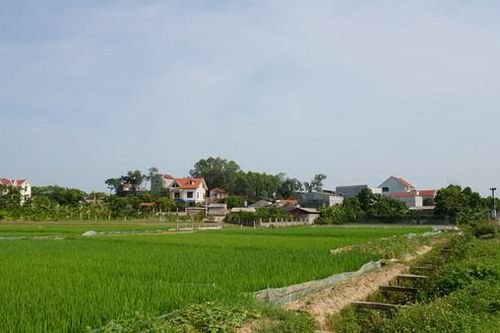 Bắc Giang: 7/10 huyện của tỉnh đã đạt chuẩn nông thôn mới