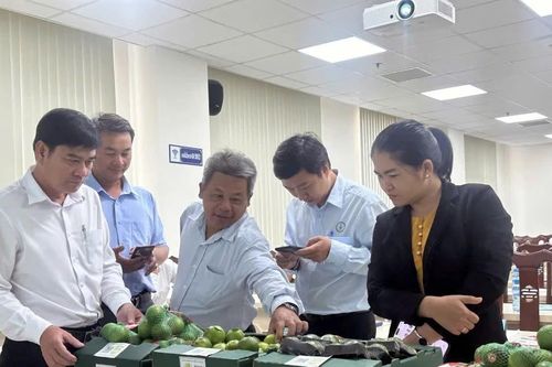 'Tấm vé thông hành' chinh phục thị trường lớn