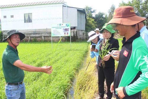 Giảm chi phí sản xuất, cải thiện lợi nhuận