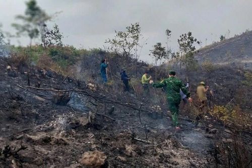 Quảng Bình: Cháy rừng phòng hộ do đốt thực bì