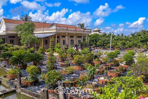 Đội ngũ hoạt động ở ấp, khóm: Tựa tre, chăm măngBài 1: Vốn quý của cơ sở