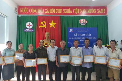 Hơn 8.000 khách hàng tham gia chương trình 'Hộ gia đình tiết kiệm điện năm 2024'