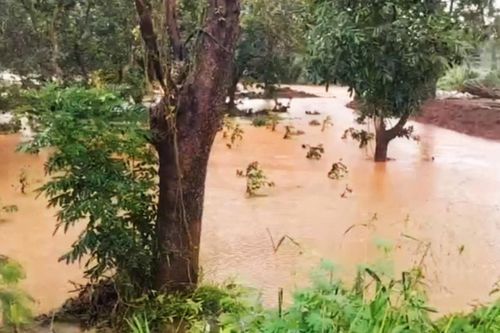 Đập dâng 7AB nước tràn, tàn phá hàng chục ha vườn cây trái