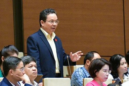 ĐBQH đề xuất tăng điều kiện của những người tham gia đấu giá bất động sản để tránh bỏ cọc