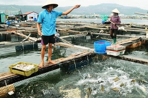 Quảng Ninh đẩy mạnh các giải pháp phục hồi kinh tế