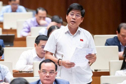Cần nghiêm trị trường hợp bỏ cọc sau khi trúng đấu giá đất