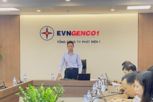 Công đoàn EVNGENCO1 tập huấn nghiệp vụ công tác Công đoàn năm 2024