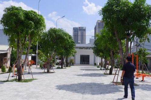 Giữ đất, trồng cây cho thế hệ sau