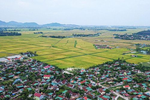 Lấy ý kiến nhân dân về việc huyện Nam Đàn đủ điều kiện đạt chuẩn nông thôn mới nâng cao