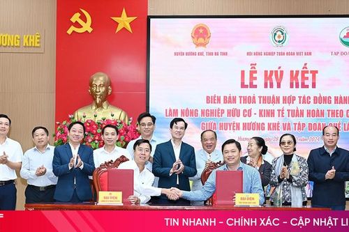 Huyện Hương Khê và doanh nghiệp Quế Lâm hợp tác làm nông nghiệp hữu cơ