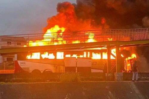 Brazil: Xô xát giữa các nhóm cổ động viên bóng đá, 1 người thiệt mạng
