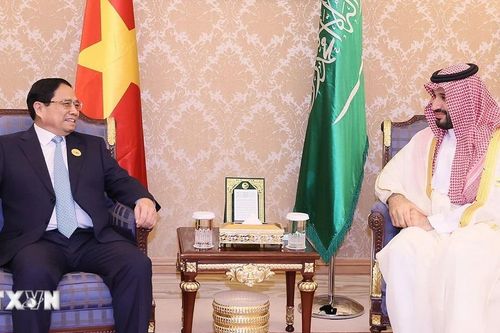 Tạo đột phá trong quan hệ hữu nghị, hợp tác Việt Nam-Saudi Arabia