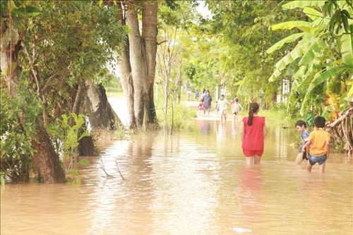Quảng Trị: Nhiều nơi bị ngập lụt gây chia cắt, sơ tán 937 hộ dân tránh lũ