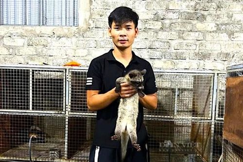 Nuôi con 'hiền như đất' tỏa mùi hương, anh nông dân kiếm 300 triệu đồng rất nhẹ nhàng