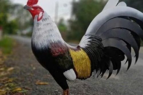 Chàng trai thu hàng chục triệu/tháng nhờ lấy xi măng làm tượng động vật