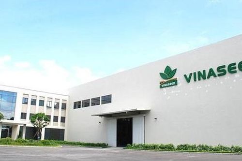 Vinaseed: Giảm tiền gửi, tăng nợ vay