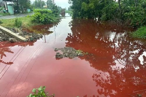 Kinh hoàng TPHCM, Nước kênh trong khu dân cư chuyển màu đỏ