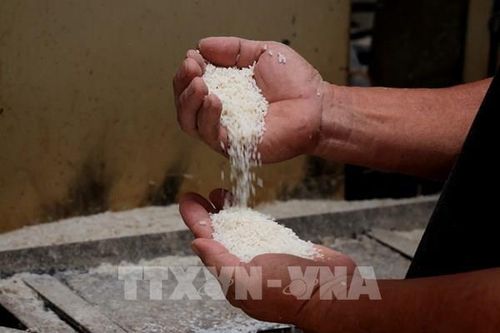 Gạo Việt Nam không nằm trong danh sách bị tạm giữ tại Thụy Điển
