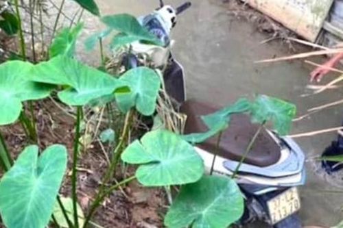 Thanh niên đi ăn cưới bạn rồi mất tích, 2 ngày sau người dân phát hiện cảnh đau lòng